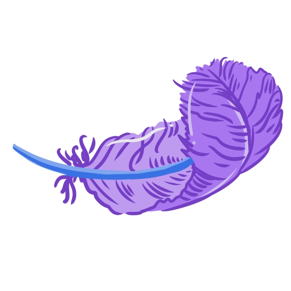 精美紫色羽毛