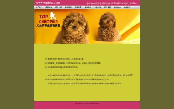 犬类宠物店网站网页