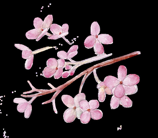 粉色樱花卡通透明素材
