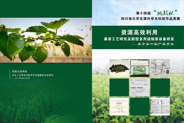 绿色植物画册封面