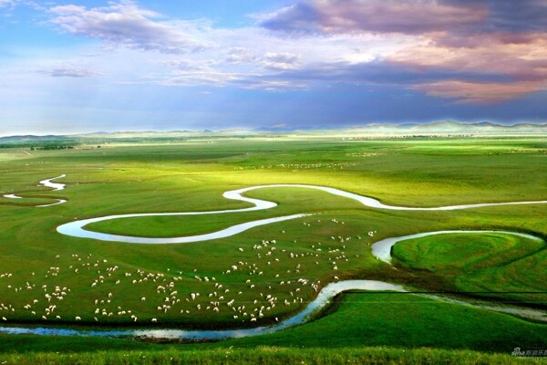 美丽草原羊群风光图片
