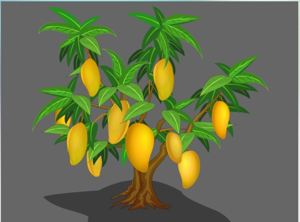 成熟的芒果树flash植物素材