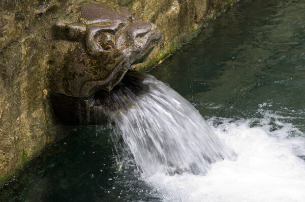济南黑虎泉喷水的虎头图片