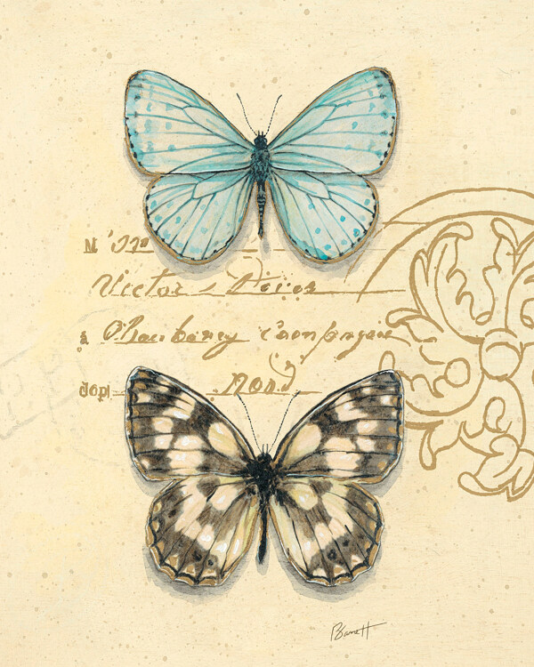 古典蝴蝶绘画装饰