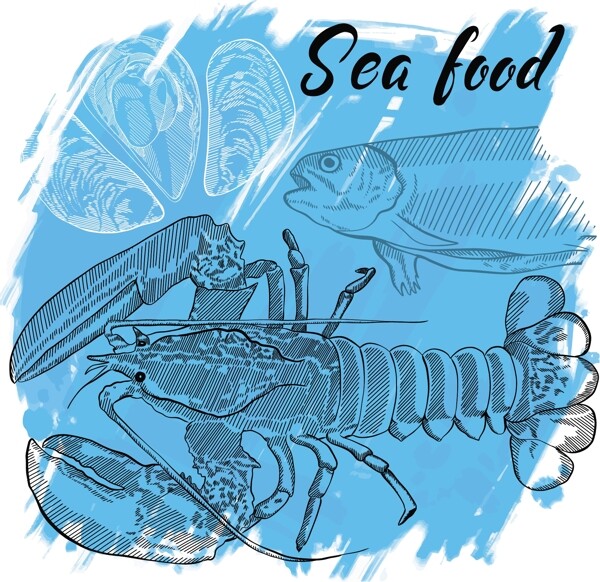 素描手绘美味的大龙虾插画
