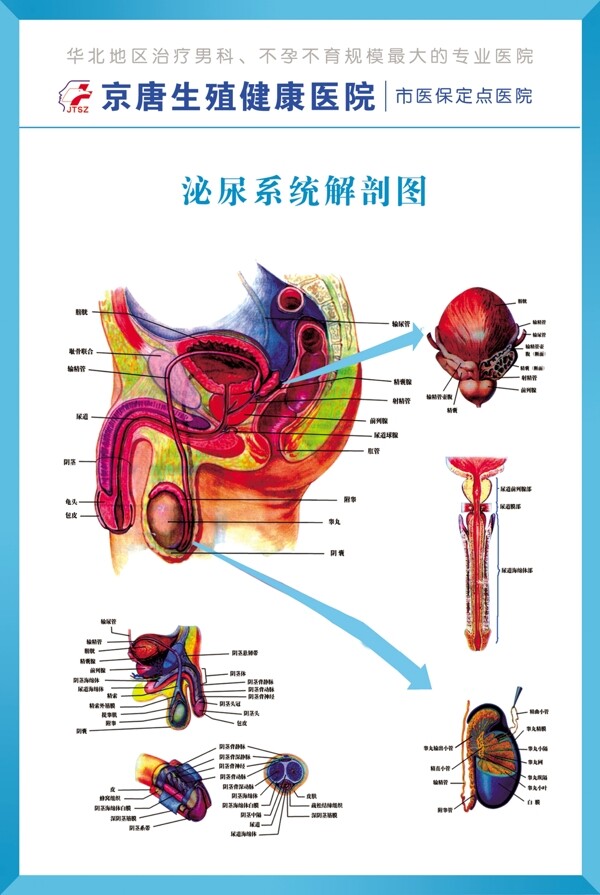 医院展板图片