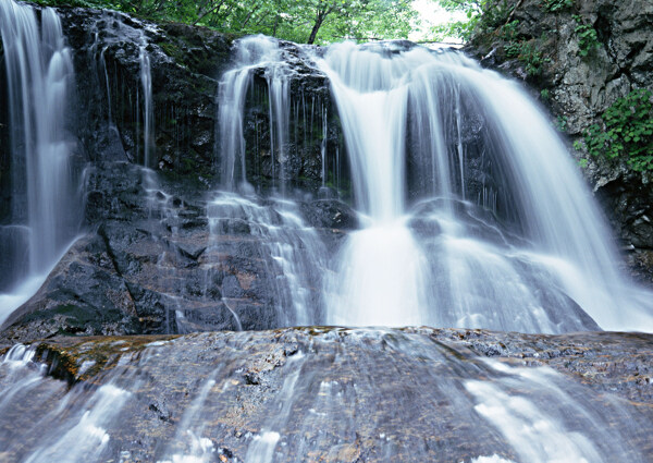 树植物水风景