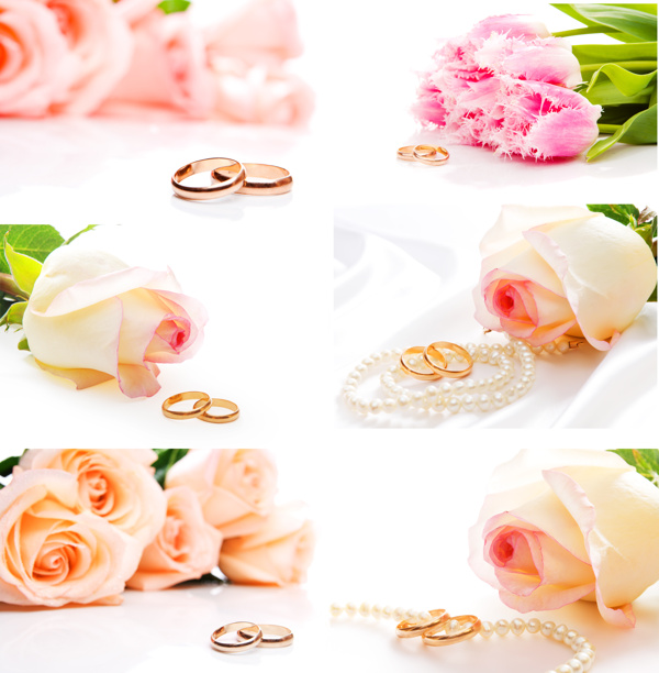 婚礼戒指与玫瑰花图片
