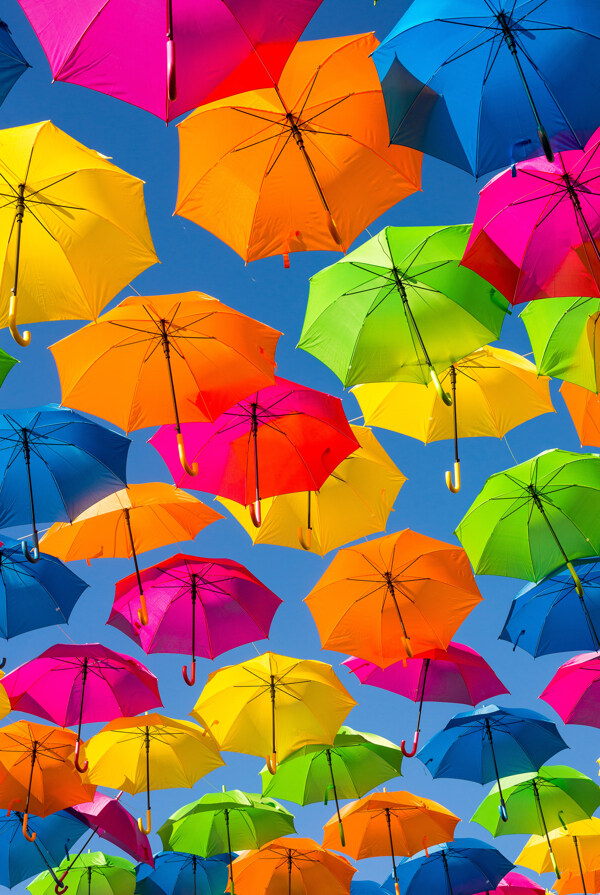 雨伞花伞遮阳伞折叠伞