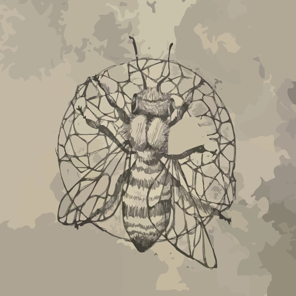 印花矢量图艺术效果水彩动物蜜蜂免费素材