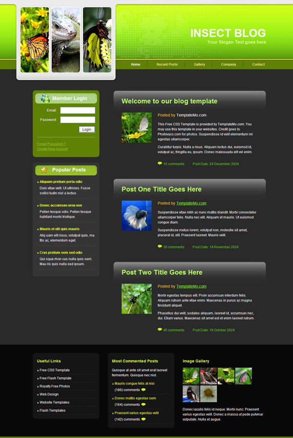 昆虫博客网页模板CSS