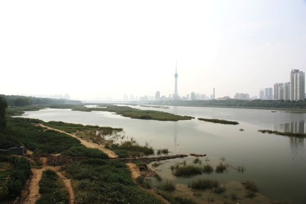 洛浦湿地图片