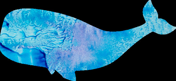 斑驳蓝色鲸鱼png透明素材