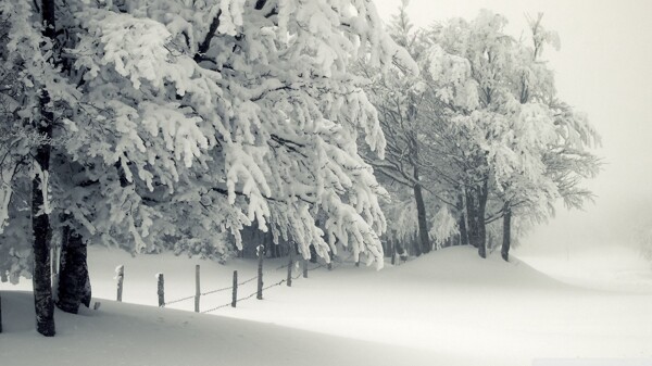 唯美冬天雪景图片
