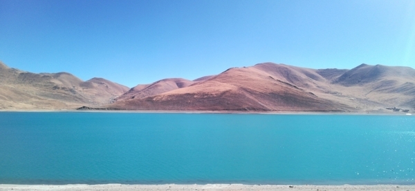 羊湖风景图片