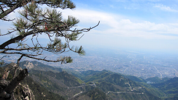 泰山顶图片