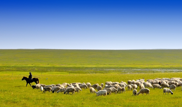 内蒙古科尔沁草原风景