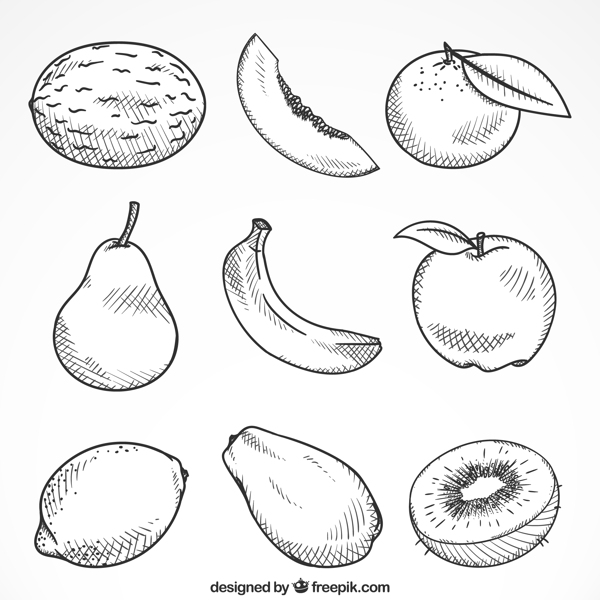 9种手绘素描风格水果矢量设计师素材