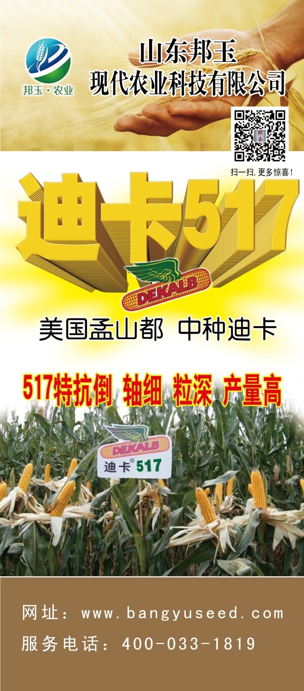 迪卡517图片