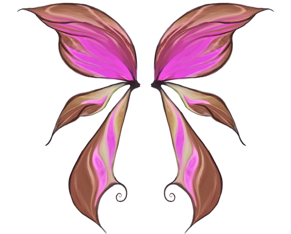 花形蝴蝶翅膀素材