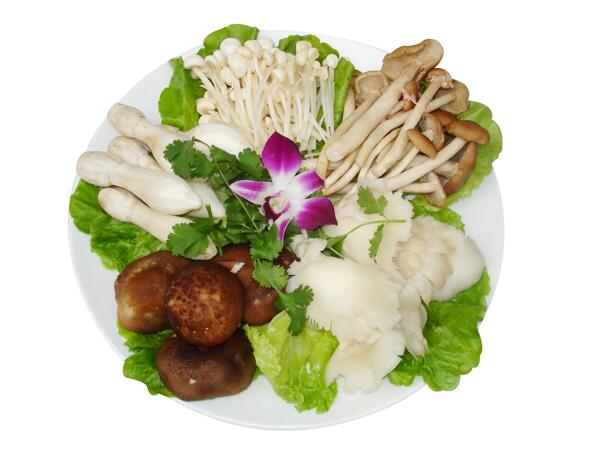 川菜菇类杂锦图片