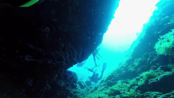 实拍视频海底世界素材