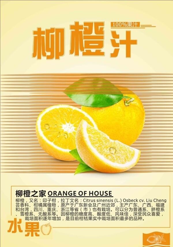 柳橙果园