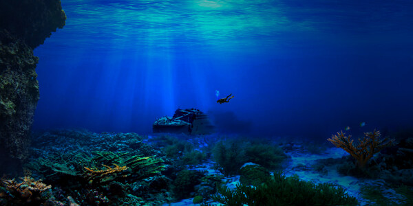 海洋潜水摄影图片