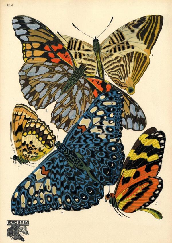 手绘蝴蝶素材图案图片