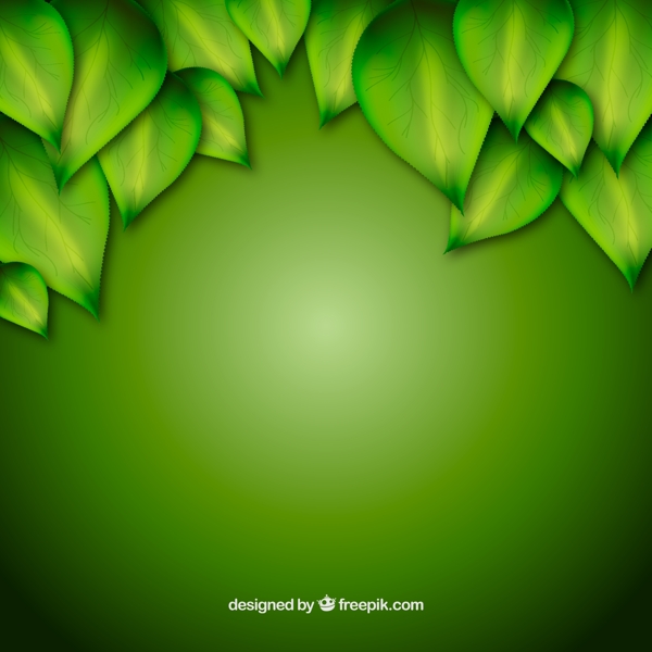 精美绿叶装饰背景矢量图