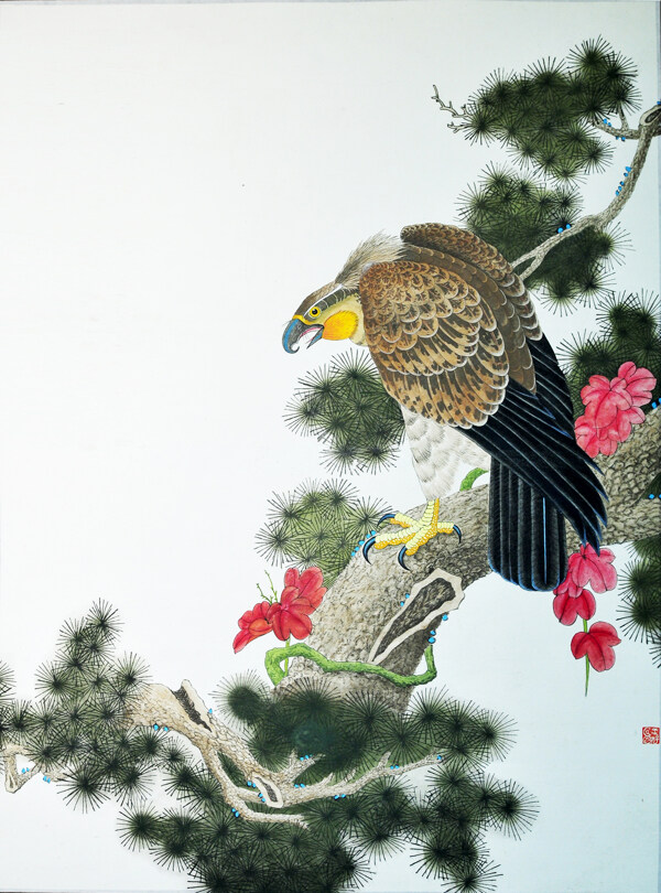 国画松树上的老鹰图片