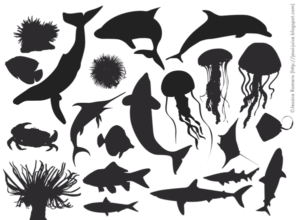 各种海豚鱼类矢量素材