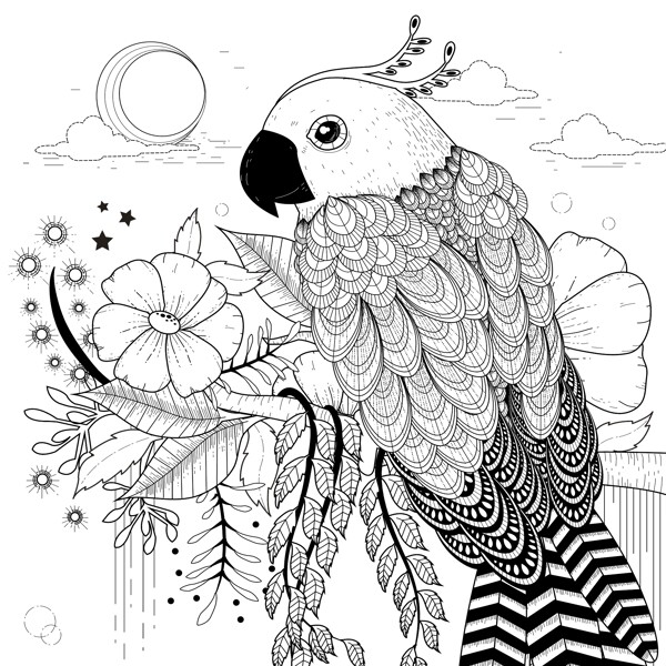 黑白手绘鹦鹉插画