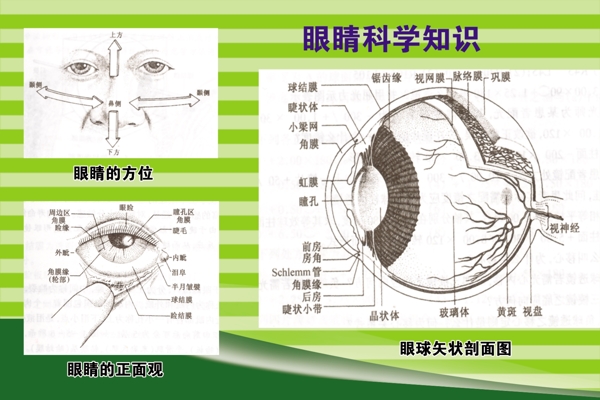 眼睛科学图片