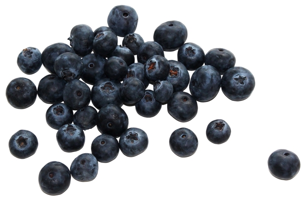 一堆黑色的蓝莓免抠psd透明素材