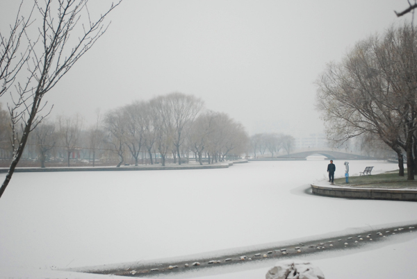 冬雪图片