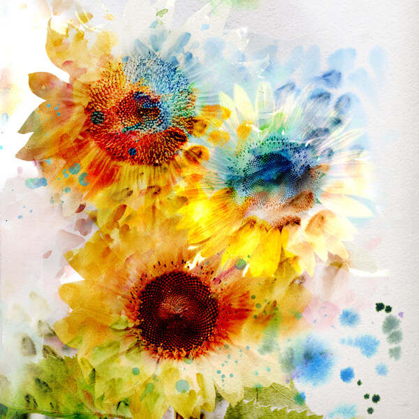 水彩画风景油画向日葵