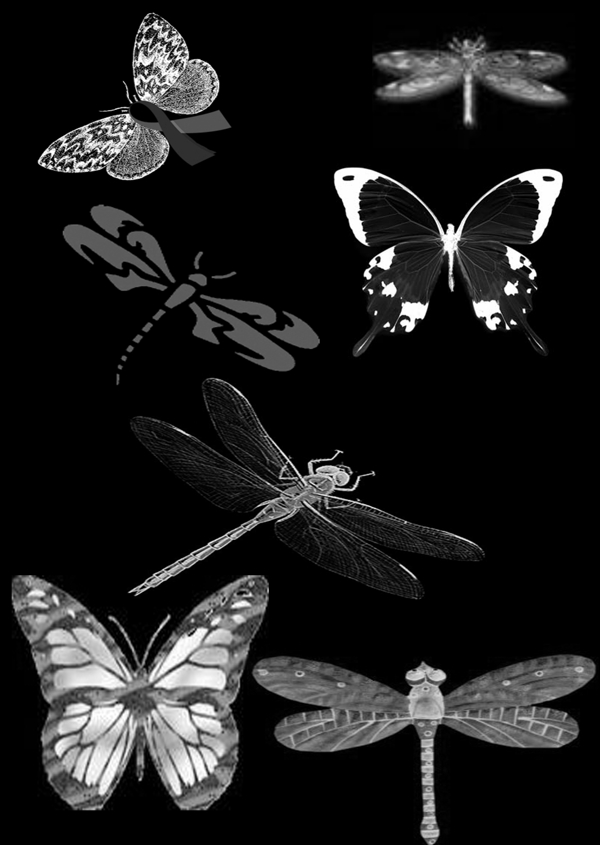 蝴蝶与蜻蜓笔刷图片