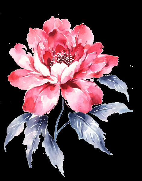 中国风彩绘牡丹花朵图案