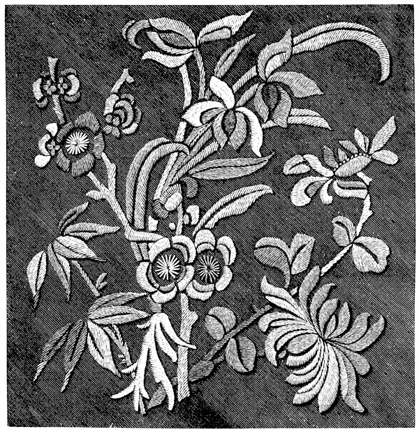黑白花边植物纹样线条