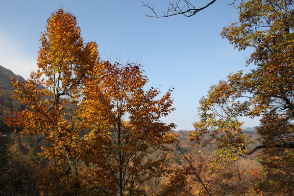 山水风光图片