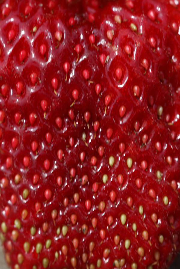 草莓特写背景图片