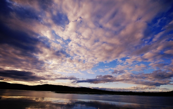 阿尔山杜鹃湖图片