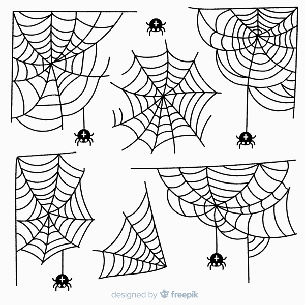 蜘蛛网和蜘蛛图片