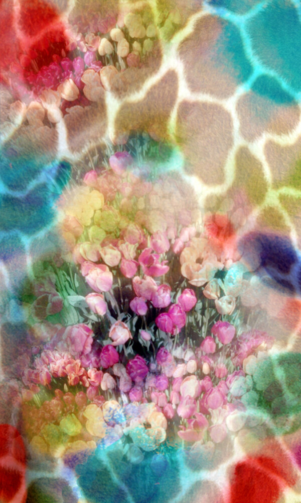 位图花卉水彩色彩动物皮纹免费素材