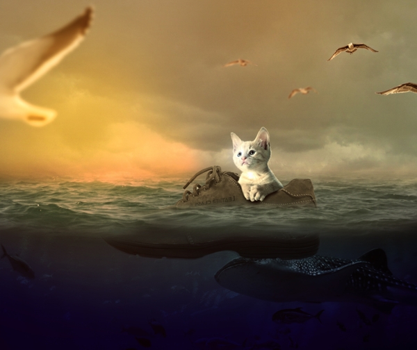梦幻小猫海边奇幻