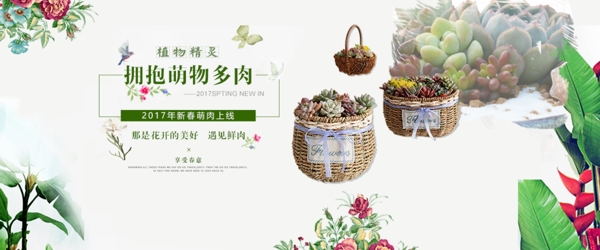 多肉植物banner