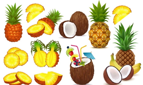 热带水果菠萝椰子矢量素材