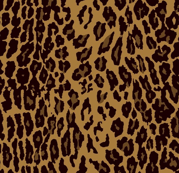 豹纹迷彩图片