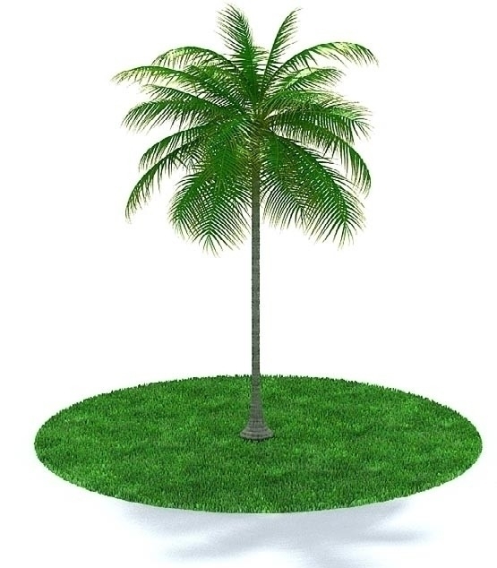 精美绿色树木3D模型图片